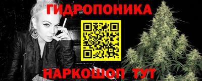 Альфа ПВП Аша
