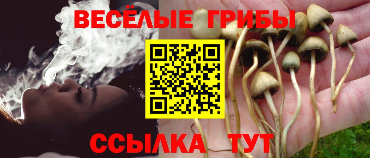 Галлюциногенные грибы Magic Shrooms  Вход с VPN  Будённовск  Псилоцибиновые грибы MAGIC MUSHROOMS 